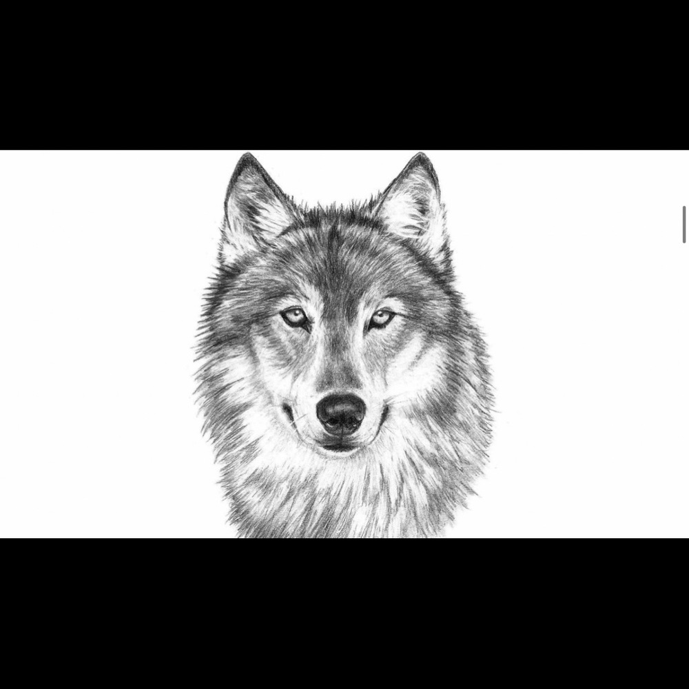 Graphite drawing